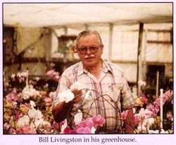 Bill Livingston